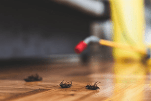 PEST<br/>CONTROL